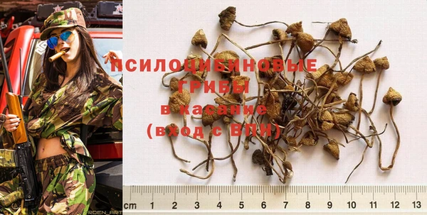 мескалин Кулебаки