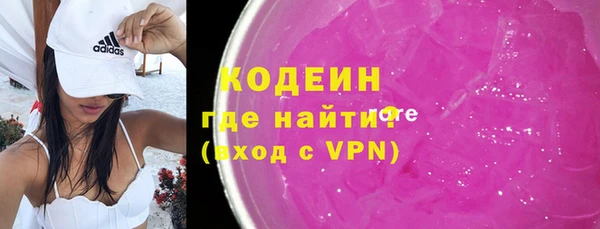 крисы Чердынь