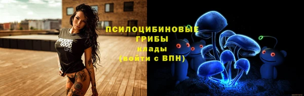 тгк Кукмор