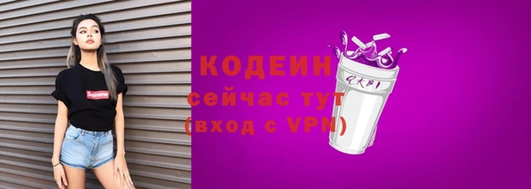 крисы Чердынь