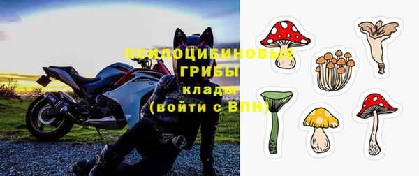тгк Кукмор