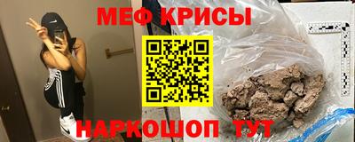 индика Кингисепп