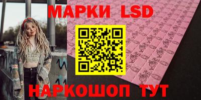 индика Кингисепп