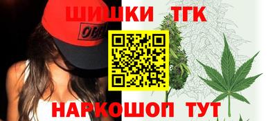 индика Кингисепп