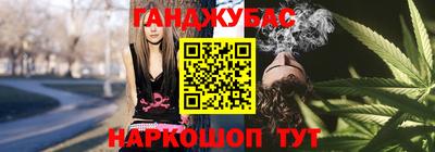 индика Кингисепп
