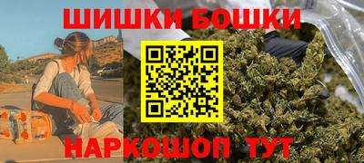индика Кингисепп