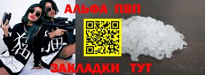 индика Кингисепп
