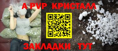 индика Кингисепп