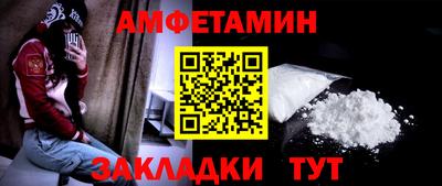 индика Кингисепп