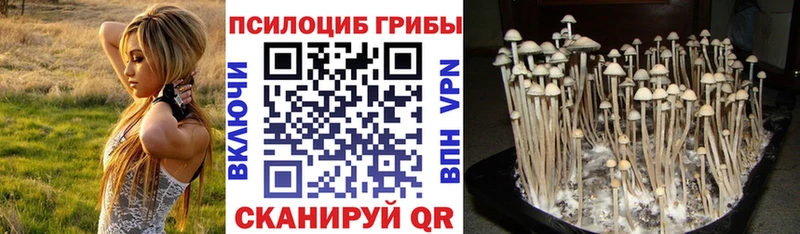 Галлюциногенные грибы мицелий  Тихвин 